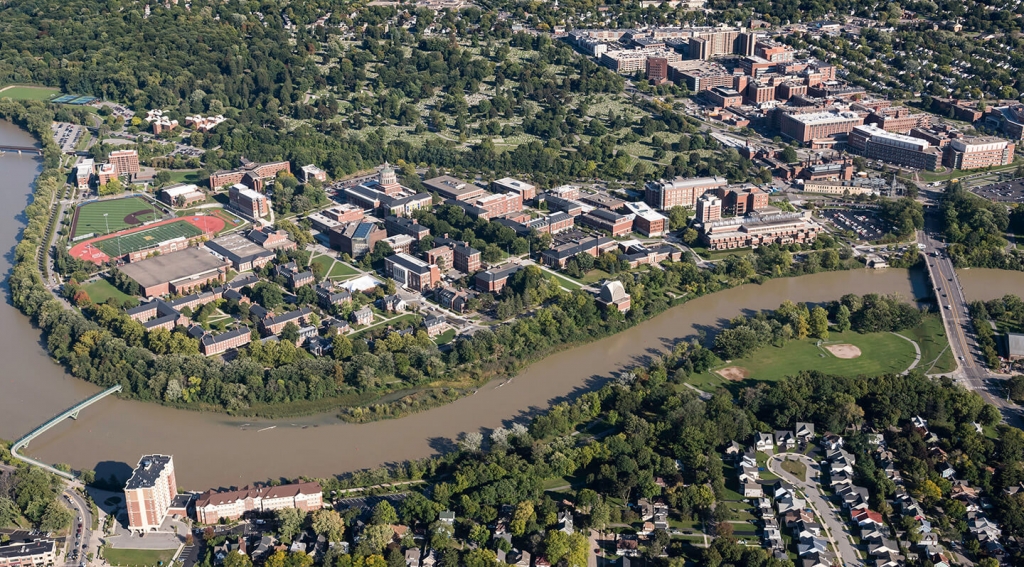 EDgage | Buckle Down